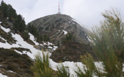 Von Patsch über den 1600er Weg zum Meissnerhaus und über den Patscherkofel retour- Tuxer Alpen