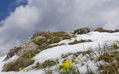 Von Matrei auf das Weiße Wandl und weiter zum Blaser- Abstieg über Statzer Tal- Stubaier Alpen