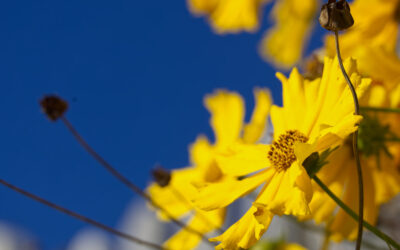 Kleine feine Runde im Vorkarwendel