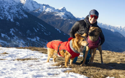 Von Gries am Brenner auf den Padaunerkogel- Tuxer Alpen