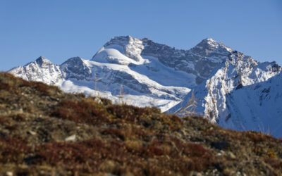 Von Sankt Jodok über Hochgenein zum Sumpfkopf- Tuxer Alpen