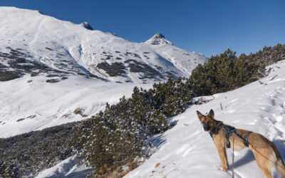 Heute mit Lin- Betty und Jule auf die Blaserrunde- Stubaier Alpen