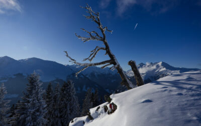 Zum Neuschnee von Grinzens hinauf auf Salfeins- Stubaier Alpen