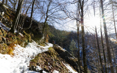 Vom Jagdhaus Rettenbach über den Budergrabensteig zum Merkensteinbründl- Abbruch am Weg zum Hohen Nock- Sengsengebirge